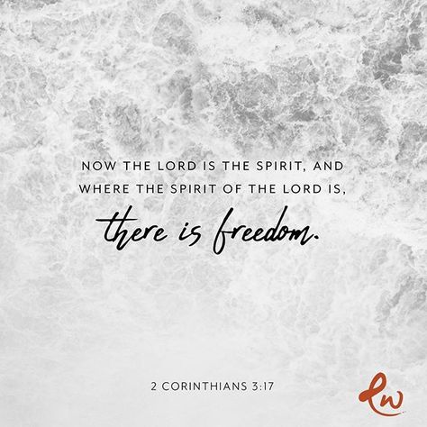 Want freedom? Seek the Spirit of God. . . . #Tulsa #BrokenArrow #Bixby #Jenks #Owasso #Glenpool #Mounds #SouthTulsa #Oklahoma  #TulsaOK #Bible #votd  #JesusChrist #Christian #Tulsa_Oklahoma #EastwoodTulsa #votd #verseoftheday 21 Days Of Prayer, Spirit Of God, Freedom In Christ, Free Indeed, Love Scriptures, Freedom Quotes, Jesus Birthday, Christ Quotes, Prayer And Fasting