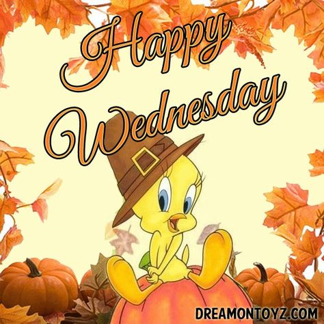 Happy Wednesday Tweety Bird Thanksgiving Backgrounds, Backgrounds Disney, Happy Wednesday Images, Wednesday Greetings, Disney Thanksgiving, Happy Thanksgiving Images, Thanksgiving Background, Thanksgiving Eve, Thanksgiving Prayer