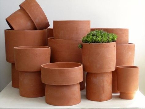 Terracotta Diy, Creative Ceramics, نباتات منزلية, Easy Plants To Grow, Terracotta Flower Pots, Plants Decor, Natural Interior, Terracotta Planter, Pot Designs