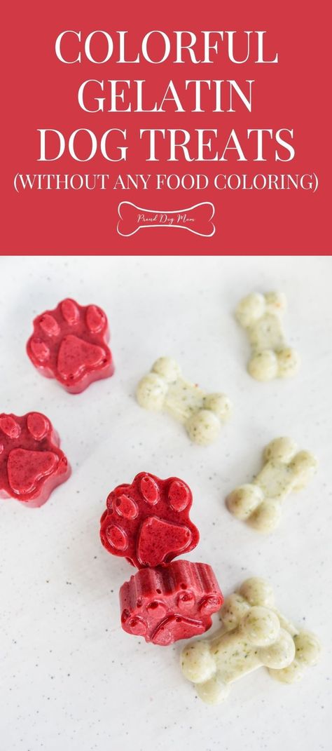 Dog Cannoli Recipe, Gummy Dog Treats, Dog Gummies Recipes, Dog Treat Frosting Recipe, Dog Gelatin Treats, Dog Treat Mold Recipe, Dog Treats With Silicone Molds, Diy Dog Treats Silicone Mold, Homemade Dog Treats Easy With Silicone Mold