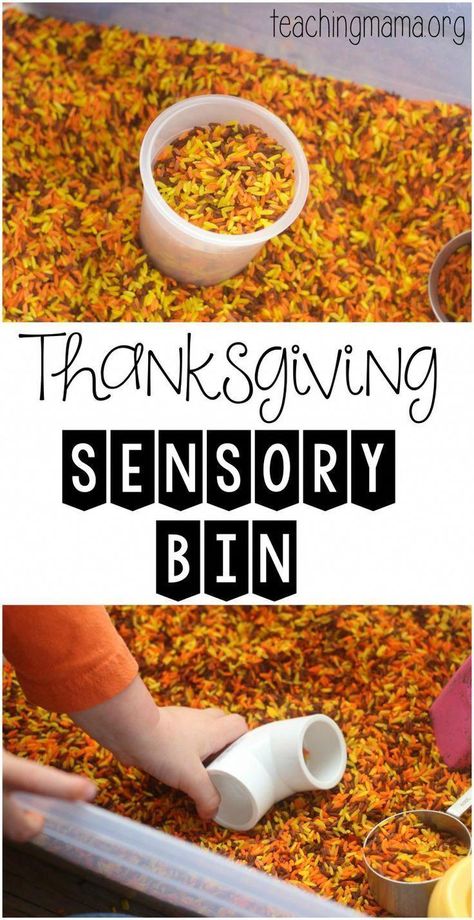 Thanksgiving Sensory Bin #thanksgivingdinner Thanksgiving Sensory Bin, Thanksgiving Toddler Activities, Thanksgiving Sensory, Thanksgiving Lesson Plans, Fall Sensory Bin, Thanksgiving Activities Preschool, Toddler Sensory Bins, Thanksgiving Toddler, November Ideas