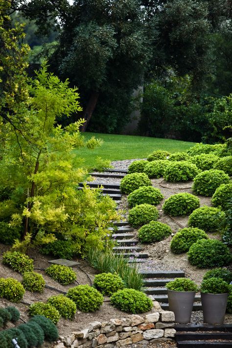 Do It Yourself Cheap and Easy Backyard Landscaping Solutions for Steep Grassy Hills Easy Backyard Landscaping, Landscaping Edging, Budget Landscaping, Landscaping A Slope, Landscaping On A Hill, Landscape Timbers, Sloped Yard, Sloped Backyard, Hillside Landscaping