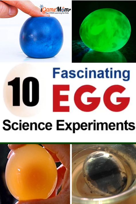 Fun and easy ideas of egg science experiments to fascinate your kids right in the kitchen: silver egg light in the dark egg bouncing egg ... # #homeschool #home #school #videos Science Stem Activities, Experiments For Kids Easy, Egg Science, Rubber Egg, Science Experiments Kids Easy, Egg Experiments, Kitchen Silver, Fun Stem Activities, Kitchen Science