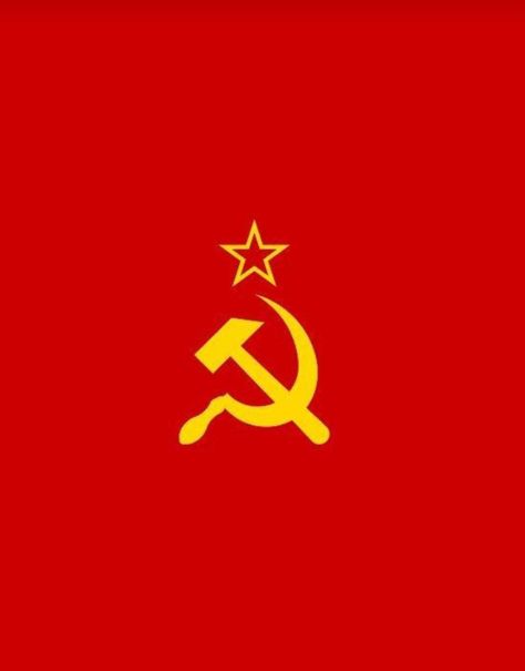 Uni Soviet Flag, Ussr Flag, Soviet Union Flag, Party Logo, Scary Things, Russian Culture, Logo Images, Soviet Union, Winter Soldier