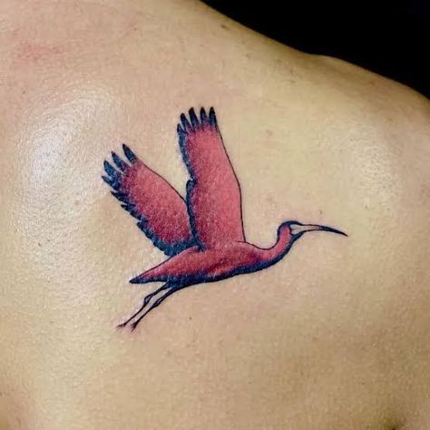 20+ Amazing Ibis Tattoos with Meanings | Body Art Guru Scarlet Ibis Tattoo, Ibis Bird Tattoo, Ibis Tattoo, Old Culture, Scarlet Ibis, Unique Tattoos For Women, Egypt Culture, Crescent Moon Tattoo, Skeleton Tattoos