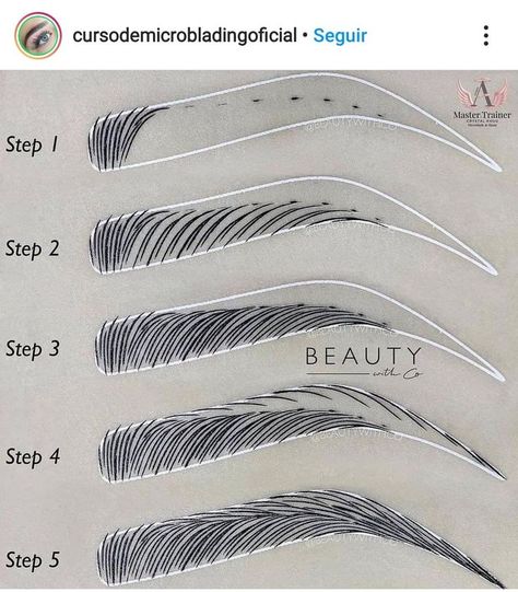 Microblading Step By Step, Mircoblading Eyebrows Tips, Microblading Patterns Step By Step, Nanoblading Eyebrows, Types Of Eyebrows, Sulam Alis, Membentuk Alis, Bentuk Alis, Eyebrow Design