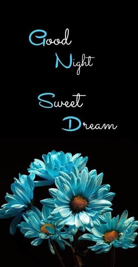 Beautiful Good Night Images Sweet Dreams, Sleepy Quotes, Good Night Msg, Very Good Morning Images, Romantic Good Night Messages, Photos Of Good Night, Romantic Good Morning Messages, Good Night Prayer Quotes, Good Night Massage