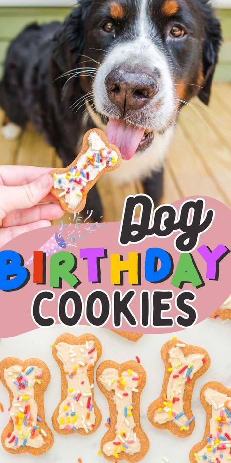 Dog Safe Birthday Treats, Dog Birthday Ideas Diy, Dog Biscuit Icing Recipe, Dog Birthday Biscuits, Dog Birthday Cookies Recipe, Puppy Cookies Doggie Treats, Pup Cakes Doggie Birthday, Frosting For Dog Treats, Dog Desserts Recipes