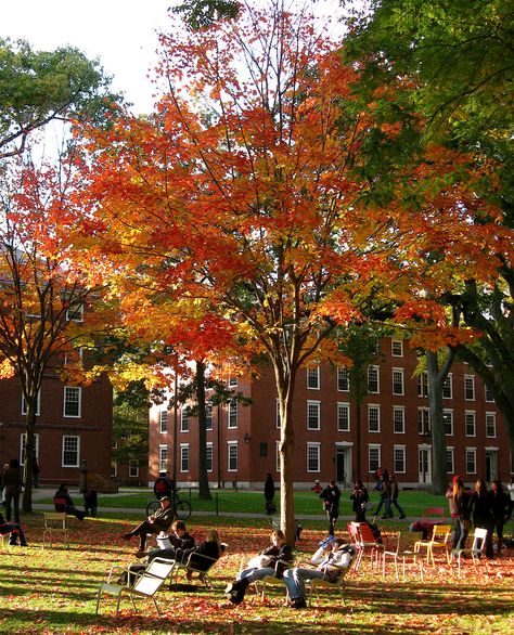 Cambridge, MA Boston In The Fall, Cambridge Boston, Harvard Yard, Halloween Facts, New England Fall, Fall Inspo, Fall Feels, Fall Travel, Autumn Cozy