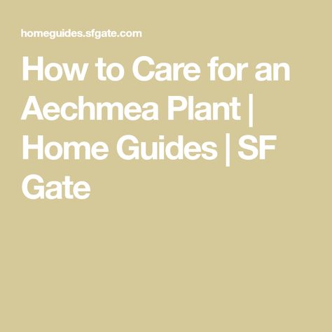 How to Care for an Aechmea Plant | Home Guides | SF Gate Staining Pine Wood, Stain Pine, Cedar Stain, Pine Cabinets, Stain On Pine, Cedar Homes, Plant Home, Useful Hacks, Walnut Oil