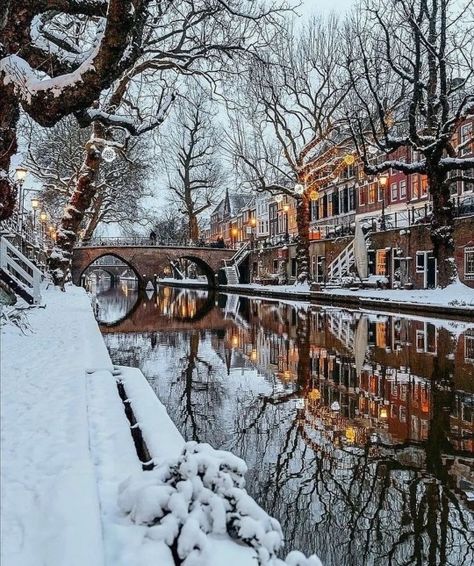 London Snow, Christmas Scenery, Winter Love, Winter Scenery, Winter Beauty, Winter Pictures, Bff Gifts, Winter Travel, On The Ground