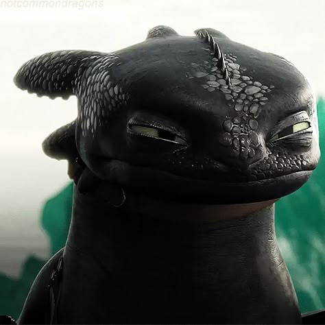 I can just imagine in Dragonese he just said, "Yep, I'm the Alpha, respect me." :) Toothless And Stitch, Night Fury Dragon, Httyd 2, Toothless Dragon, Hiccup And Toothless, Dreamworks Movies, Dreamworks Dragons, Httyd Dragons, Dragon Trainer