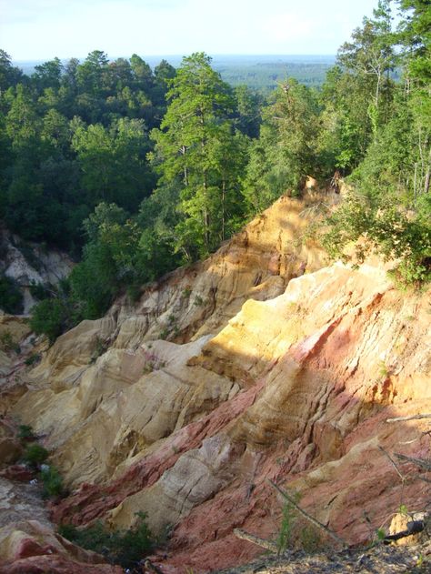 Red Bluff, Morgantown-Often referred to as the state’s “little Grand Canyon,” this sight, while breathtaking, is definitely an unexpected surprise. Nature Places To Visit, Forest Treehouse, Windsor Ruins, Adventure Forest, South Usa, Mississippi Travel, Nature Places, Natchez Trace, Red Bluff