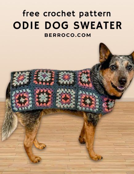 Free Crochet Pattern Odie Dog Sweater Diy Crochet Dog Sweater Easy, Crochet Dog Sweater Pitbull Free Pattern, Crochet Project For Dogs, Crochet Dog Patterns Clothes, Simple Crochet Dog Sweater Free Pattern, Easy Crochet Dog Bandana, Dog Crochet Patterns Free Sweater Coats, Crochet Dog Poncho Free Pattern, Large Dog Sweaters Crochet Free