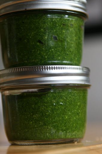 Freezing Pesto. Delicious on pasta, as a marinade for shrimp...summertime fresh to enjoy any time of year! Lemon Balm Tincture, Freezing Pesto, Medical Remedies, Medicine Recipes, Wild Foraging, Herbal Salves, Medical Herbs, Farm Living, Herbal Tinctures