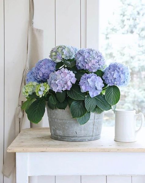 Weekly home and design inspiration from LoveGrowsWild.com Farmhouse Florals, Garden Goals, Glam Design, Green Stuff, Summer Living, Floral Table, Silk Flower Arrangements, Country French, Beautiful Flower Arrangements