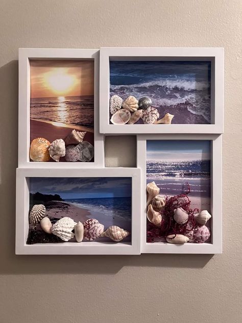 Tarerium Ideas, Seashell Display Ideas Shadow Box Shell Art, Decorating With Sea Shells, How To Decorate With Seashells, Sea Shell Art Projects Diy Ideas, Ideas For Seashells From Beach, Shell Wall Art Diy, Seashell Shadow Box Ideas, Beach Shell Crafts Diy