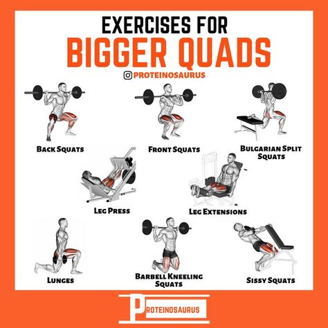 Compound Leg Exercises, Bigger Quads, Vastus Medialis, Rectus Femoris, Machine Exercises, Leg Workouts For Men, Leg Lifts Workout, Quadriceps Femoris, Muscle Diagram