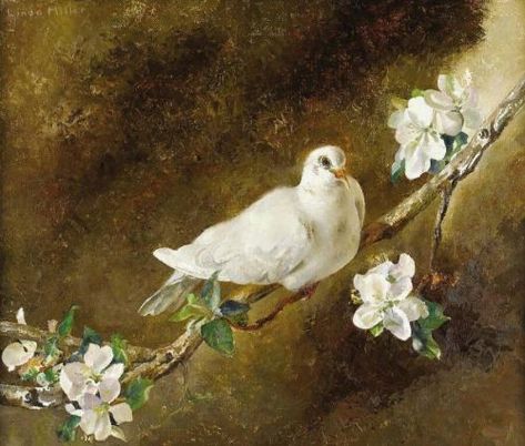 Simerenya Dove Painting, Aphrodite Aesthetic, Quotes About Photography, German Art, French Culture, Take Your Time, Bird Drawings, Wildlife Art, French Art