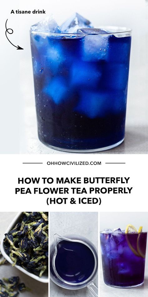 Refreshing Tea Drinks, Butterflypeaflower Tea, Making Herbal Tea, Tea Guide, Pea Flower Tea, Herbal Drink, Pear Flower, How To Make Butterfly, Easy Butterfly