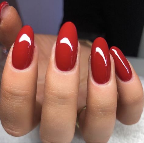 White Oval Nails, Round Shaped Nails, Cute Red Nails, Short Oval Nails, Oval Nails Designs, Deep Red Nails, Long Red Nails, Red Tips, Bright Red Nails