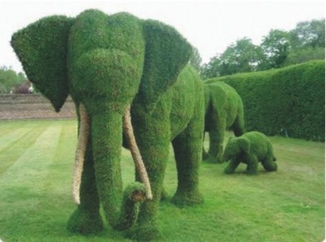 The Garden Elephants | Community Post: 15 Of The Most Amazing Garden Sculptures Buxus Sempervirens, Taxus Baccata, Amazing Grass, Laurus Nobilis, Topiary Garden, Moss Art, Big Garden, Nature Green, An Elephant