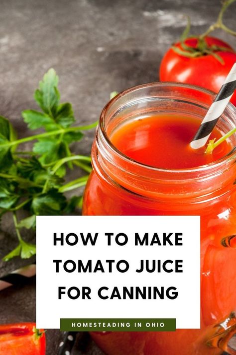 Juice Canning Recipes, Easy Tomato Juice Recipe, Fresh Tomato Juice Recipe, Making Tomato Sauce, Canning Tomato Juice, Tomato Juice Recipes, Canned Tomato Juice, Freezing Tomatoes, Easy Canning