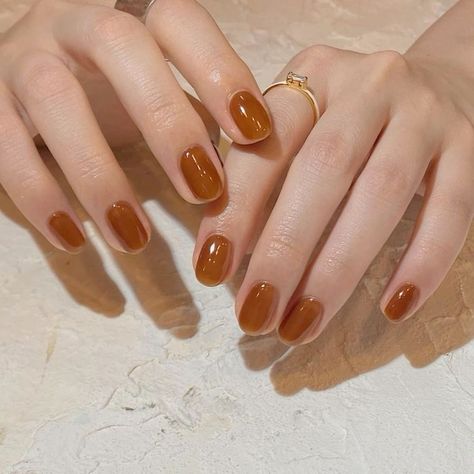 Fall Nails 2022 Color Trends, 2022 Color Trends, Fall Nails 2022, Brown Nail, Fall Nail Trends, Nails 2022, Nail Type, Jelly Nails, Fall Nail Colors