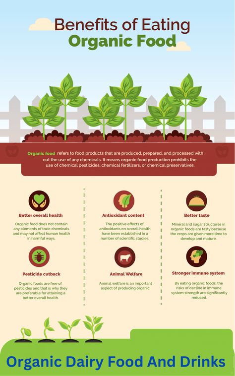 The report offers an analysis of the other segments such as organic yogurt and other organic dairy food and drinks. Tea Infographic, Nutrition Infographic, Food Business Ideas, Fancy Chickens, Food Infographic, Organic Foods, Recipe Template, Chocolate Cookie Recipes, Food Graphic Design