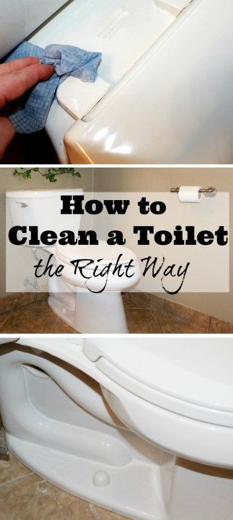 Clean a Toilet the right way, the first time! Toilet Cleaning Hacks, Clean Baking Pans, Deep Cleaning Hacks, Cleaning Painted Walls, Hard Water Stain Remover, Bathroom Cleaning Hacks, Deep Cleaning Tips, Sparkling Clean, Toilet Cleaning