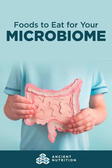 How can you improve your gut microbiome? If you’re looking to learn how to increase good bacteria in your gut naturally, we’ll show you how to eat in a way that supports growth of healthy gut microbes, plus explain “gut disruptors” you’ll want to avoid. Microbiome Diet, Good Gut Bacteria, Gut Healing Recipes, Healing Recipes, Healthy Lifestyle Habits, Gut Bacteria, Gut Microbiome, Detox Cleanse, Healthy Gut