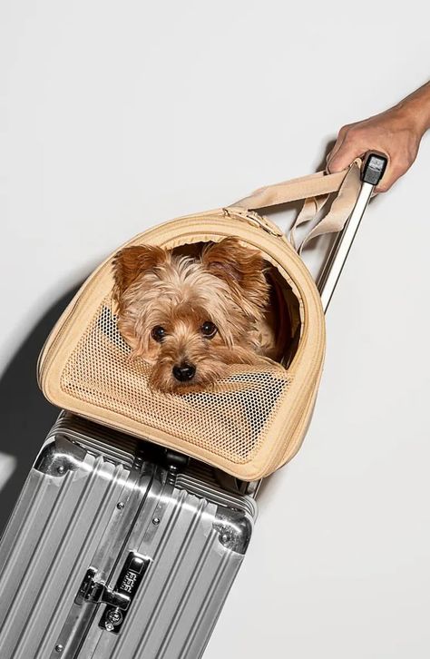 My Sister: Wild One Air Travel Dog Carrier Airline Approved Pet Carrier, Dog Accesories, Pet Travel Carrier, Best Airlines, Travel Carrier, Milk Shop, Cat Carrier, Dog Carrier, Wild One