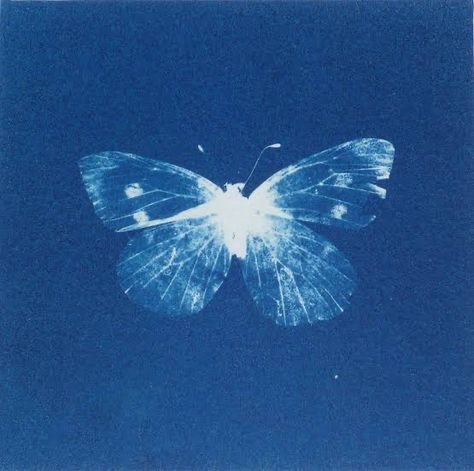 White Butterfly, Those Days, Blue Aesthetic, Kirby, Home Screen, Blue Background, Blue Sky, Ios, Dark Blue