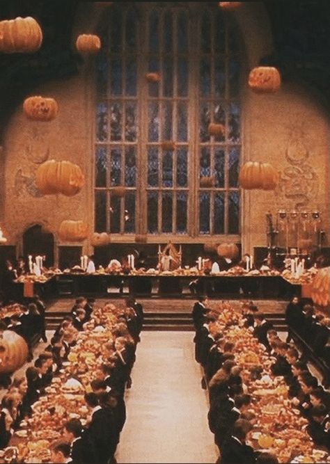 Harry Potter Photo Wall, Her Beauty, Hogwarts Interior, Harry Potter Wall, Welcome To Hogwarts, Lucius Malfoy, Harry Potter Halloween, Harry Potter Images, Images Harry Potter