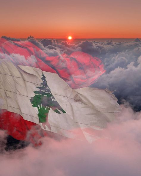 Lebanon Flag Aesthetic, Lebanon Drawing Ideas, Lebanon Culture, Baalbek Lebanon, Lebanese Flag, Lebanon Flag, Black Wallpaper Iphone Dark, History People, Flag Country