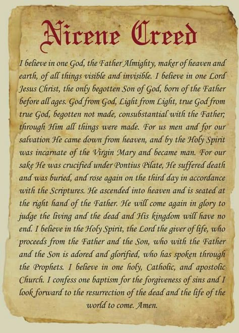 Nicene Creed Nicene Creed, Early Church Fathers, Catholic Beliefs, Apostles Creed, Prayer Verses, Prayer Board, Faith Prayer, Catholic Prayers, Inspirational Prayers