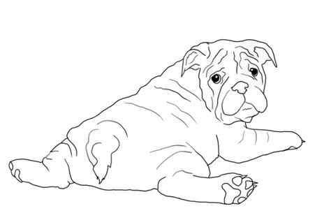 English Bulldog Drawing, Bulldog Drawing, Bulldog Tattoo, Dog Drawings, Dog Sketch, Animal Doodles, Canine Art, British Bulldog, Animal Embroidery