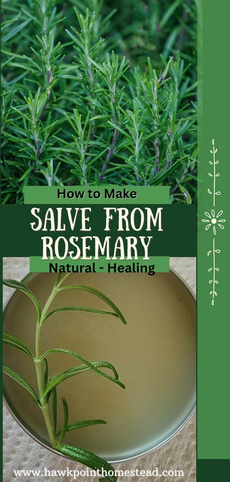 This recipe for homemade rosemary salve is so easy and makes a delightful salve that can be used to sooth, heal and moisturize your skin. Rosemary is known to potentially have several health and skin benefits. Rosemary oil may reduce joint inflammation, pain relief, relieve dry skin and other skin conditions, increase circulation and repel certain bugs. Rosemary is a versatile herb with many possible positive effects on the skin, which is why it is an ingredient in many creams and salves. Recipes That Use Rosemary, Oregano Salve Recipe, Mullen Salve, Mullein Salve Recipe, Fresh Rosemary Uses, Rosemary Salve, Uses For Rosemary, Herbal Salve Recipes, Herbal Medicine Recipes