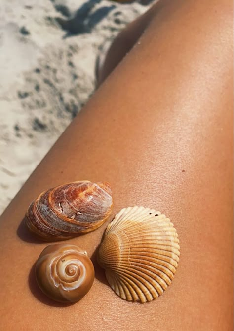 Tan Legs Beach Aesthetic, Tanned Legs Beach, Beach Legs Pic Aesthetic, Beach Tanning Aesthetic, Siquijor Aesthetic, Tan Girl Aesthetic, Tan Line Pictures, Tan Vibes, Leg Aesthetic