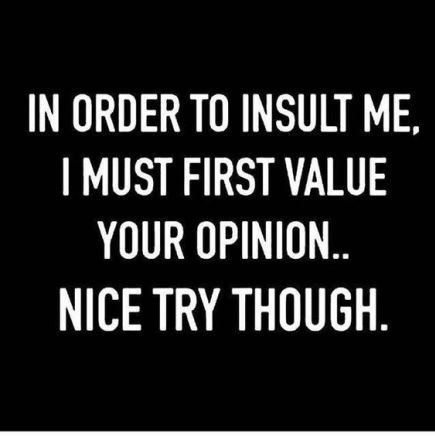 In order to insult me, I must first value your opinion. Michael Rooker, Great Sayings, Life Quotes Love, Sarcastic Quotes Funny, Sassy Quotes, Sylvester Stallone, Badass Quotes, E Card, Quotable Quotes