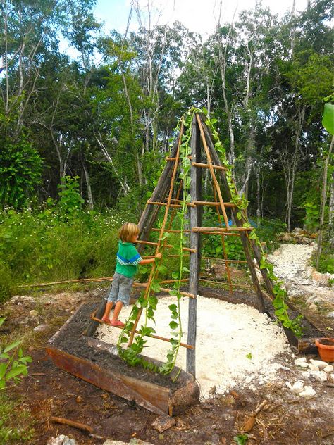 Moment to Moment: A children's garden in the making Teepee Garden, Outdoor Play Space, Outdoor Play Spaces, Sensory Garden, Children's Garden, Natural Playground, Outdoor Classroom, School Garden, Forest School