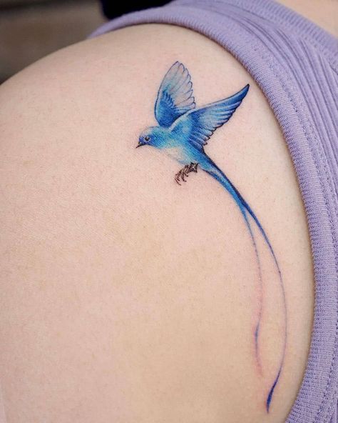 Small Blue Bird Tattoo, Small Blue Bird Tattoos For Women, Small Bluebird Tattoo, Fine Line Bluebird Tattoo, Tiny Blue Bird Tattoo, Blue Bird Tattoo, Bluebird With Flowers Tattoo, Watercolor Bird Tattoo, Bluebird Tattoo