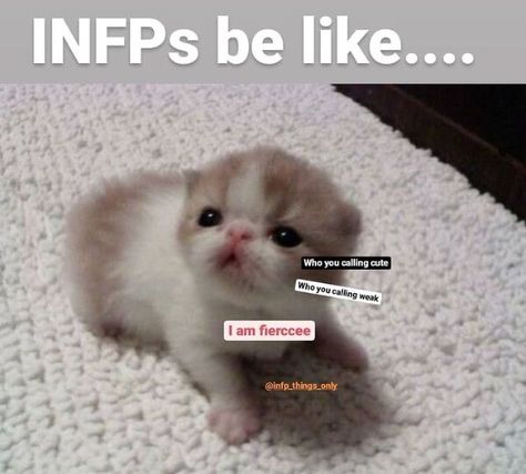 datingapp, bootheapp, soulmate, personalitytypes, memes, meme,  trending, 16personalities, 16personalitiesmemes, 16types, intp, entp, intj, enfp, infp, infj, estp, esfp, estj, esfj, isfj, isfp, istj, istp, entj, dailymemes, memesdaily, personalitytest, introvert, extrovert, cognitivefunctions, psychologymemes Esfj X Infp, Infp Mood, Infp Things, Istp Entj, Infp Relationships, Infp T Personality, Intj Enfp, Infj Estp, The 16 Personality Types