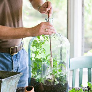 Best Terrarium Plants, Closed Terrarium Plants, Terrarium Scene, Large Terrarium, Bottle Terrarium, Miniature Gardens, Sunset Magazine, Bottle Garden, Magic Garden