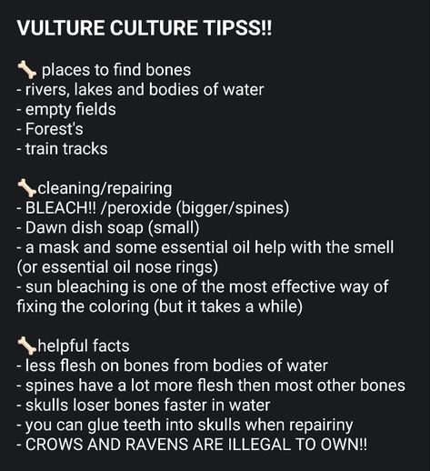 Bone Identification, Vulture Culture Tips, Bone Hunting Tips, How To Find Bones In The Woods, How To Clean Bones, Bone Magic, Grifters Bone, Cannibalismcore Aesthetic, Bone Collecting