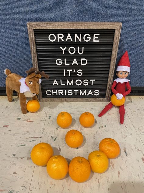 Orange you glad it’s almost Christmas #scoutelf #elfontheshelf #elfontheshelfideas Elf On Shelf Notes, Kindness Elves, Elf Ideas Easy, Bad Elf, Almost Christmas, Elf Magic, Awesome Elf On The Shelf Ideas, Elf Activities, Xmas Elf