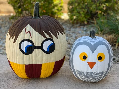 Halloween Painted Pumpkins- Harry Potter & Hedwig Hedwig Pumpkin, Harry Potter Pumpkin Carving, Cute Painted Pumpkin Ideas, Animal Pumpkin, Book Character Pumpkins, Harry Potter Pumpkin, Pumpkin Painting Party, Cool Animals, Halloween Pumpkin Crafts