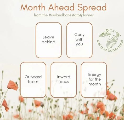 Month Ahead Tarot Spread, Month Ahead Tarot, Tarot Reading Spreads, Tarot Card Spreads, Tarot Spread, Tarot Spreads, Tarot Decks, Tarot Reading, Spreads