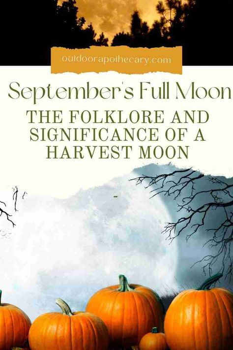 Harvest Full Moon 2023, Harvest Moon Crystals, Full Moon September 2023, Harvest Moon Recipes, September Full Moon 2024, Harvest Full Moon Ritual, Harvest Moon 2023, Harvest Moon Ritual, September Magic