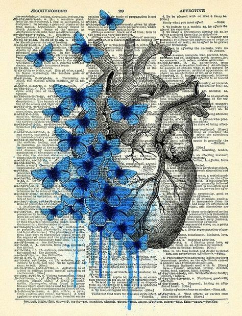 Human Heart, Book Page, Anatomy, Butterflies, Human, Blue